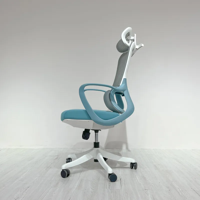 Home Office Desks - Ergonomic Office Chair with Lumbar Support