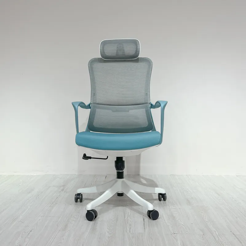 Ergonomic Office Chair with Lu - Home Office Desks recension och pris