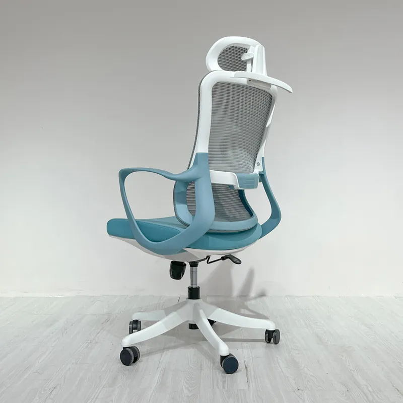 Ergonomic Office Chair with Lu - Home Office Desks recension och pris
